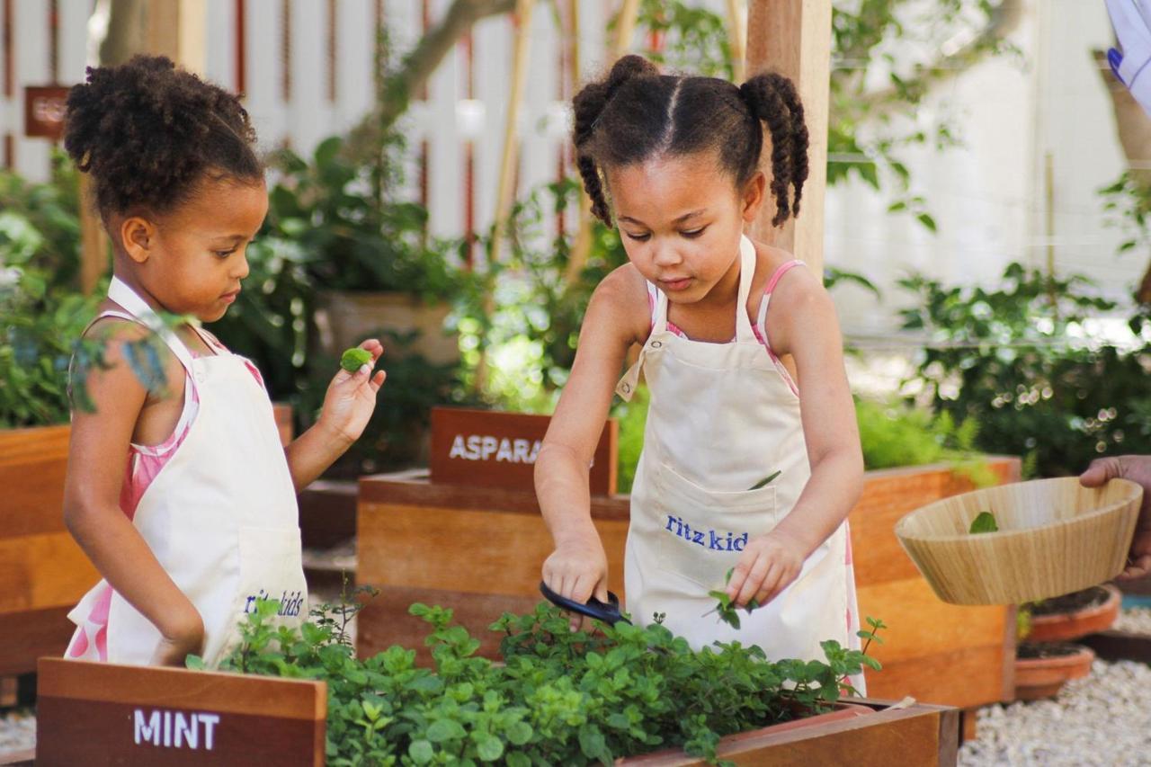 The Ritz-Carlton, Doha Hotel Exterior photo Children working in a garden